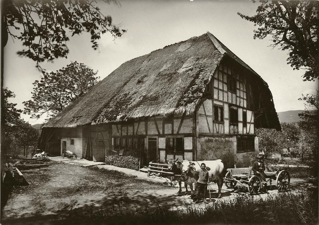 Farmhouse with thatched roof, two cows and two persons