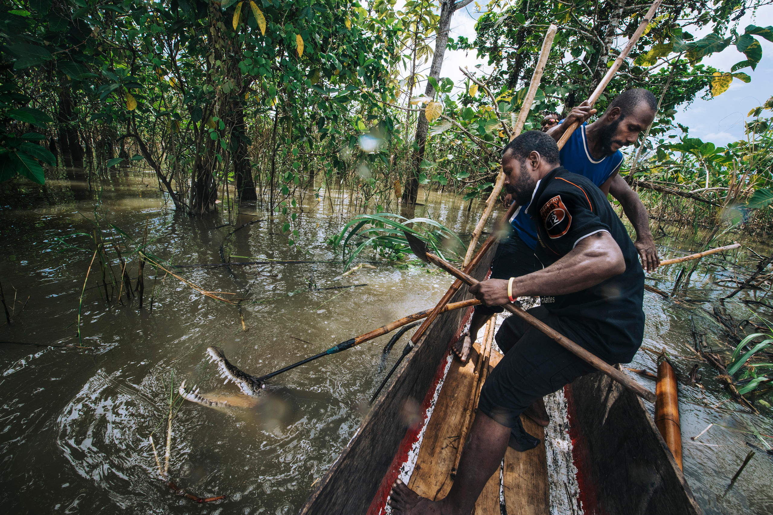 Two men hunting a crocodile in Papua New Guinea