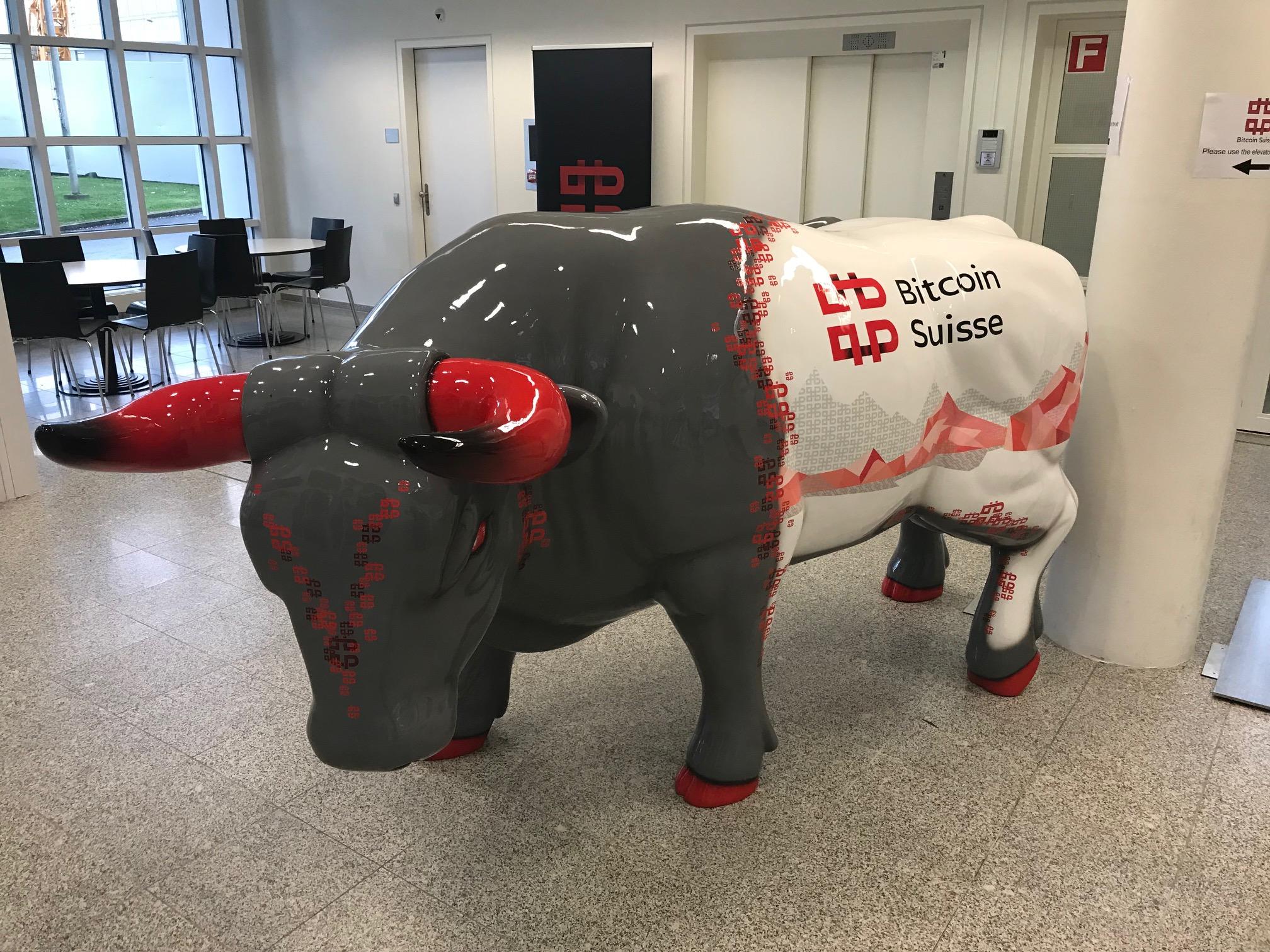 bitcoin suisse bull