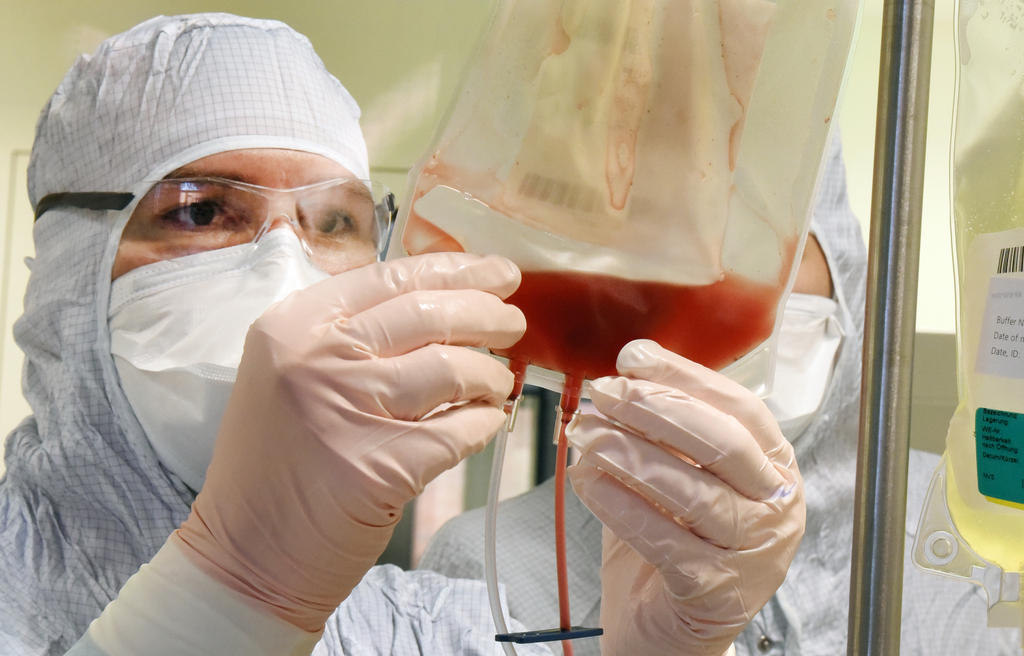 Scientist looking at blood