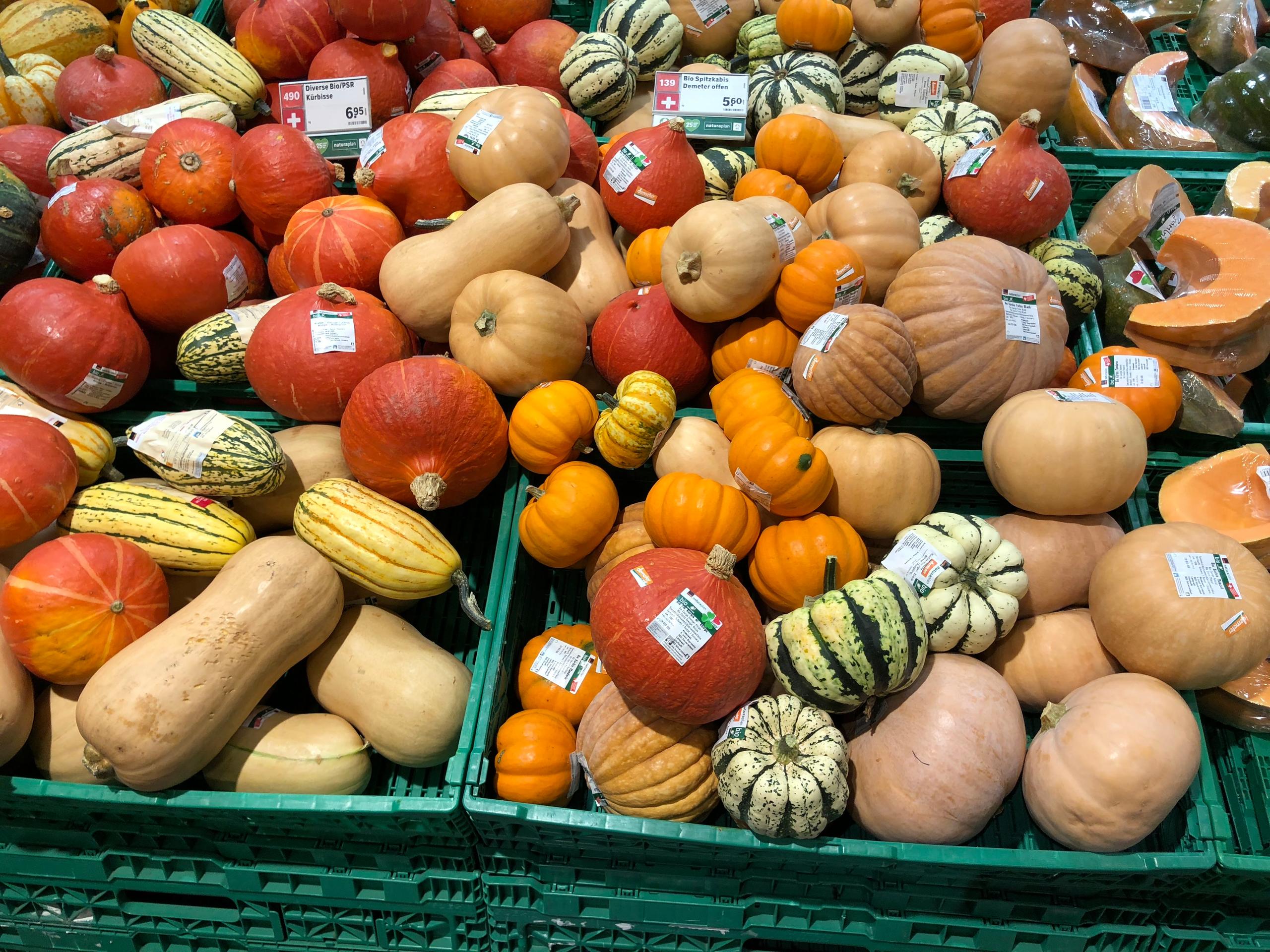 pumpkin