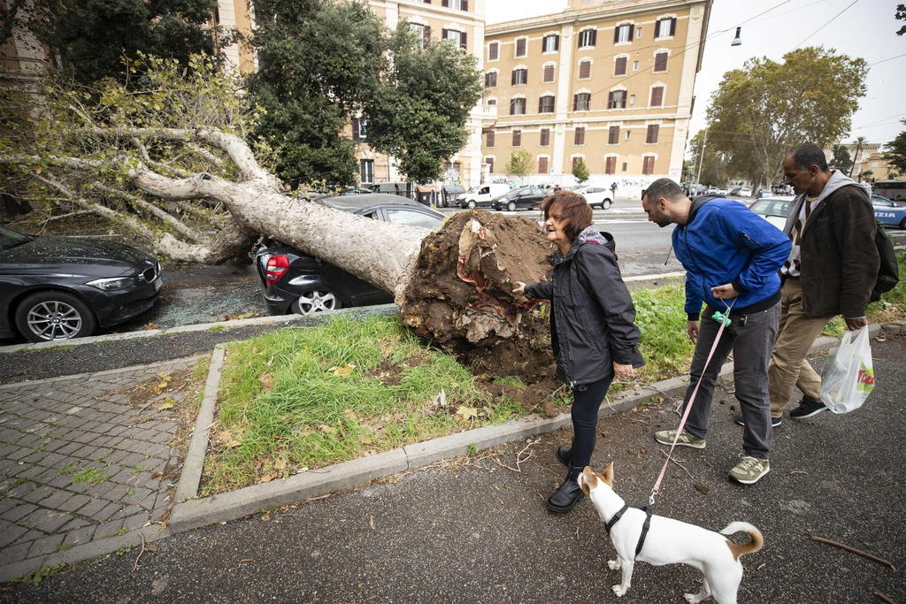 Tre persone, di cui una con un cane, osservano il moncone di un grosso albero caduto su un auto