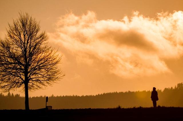 Silhouette di una persona e di un albero senza foglie.