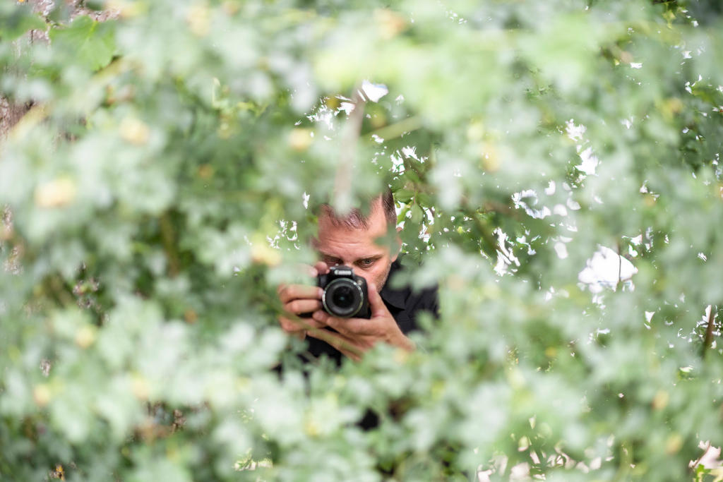 Man with camera hiding behind trees