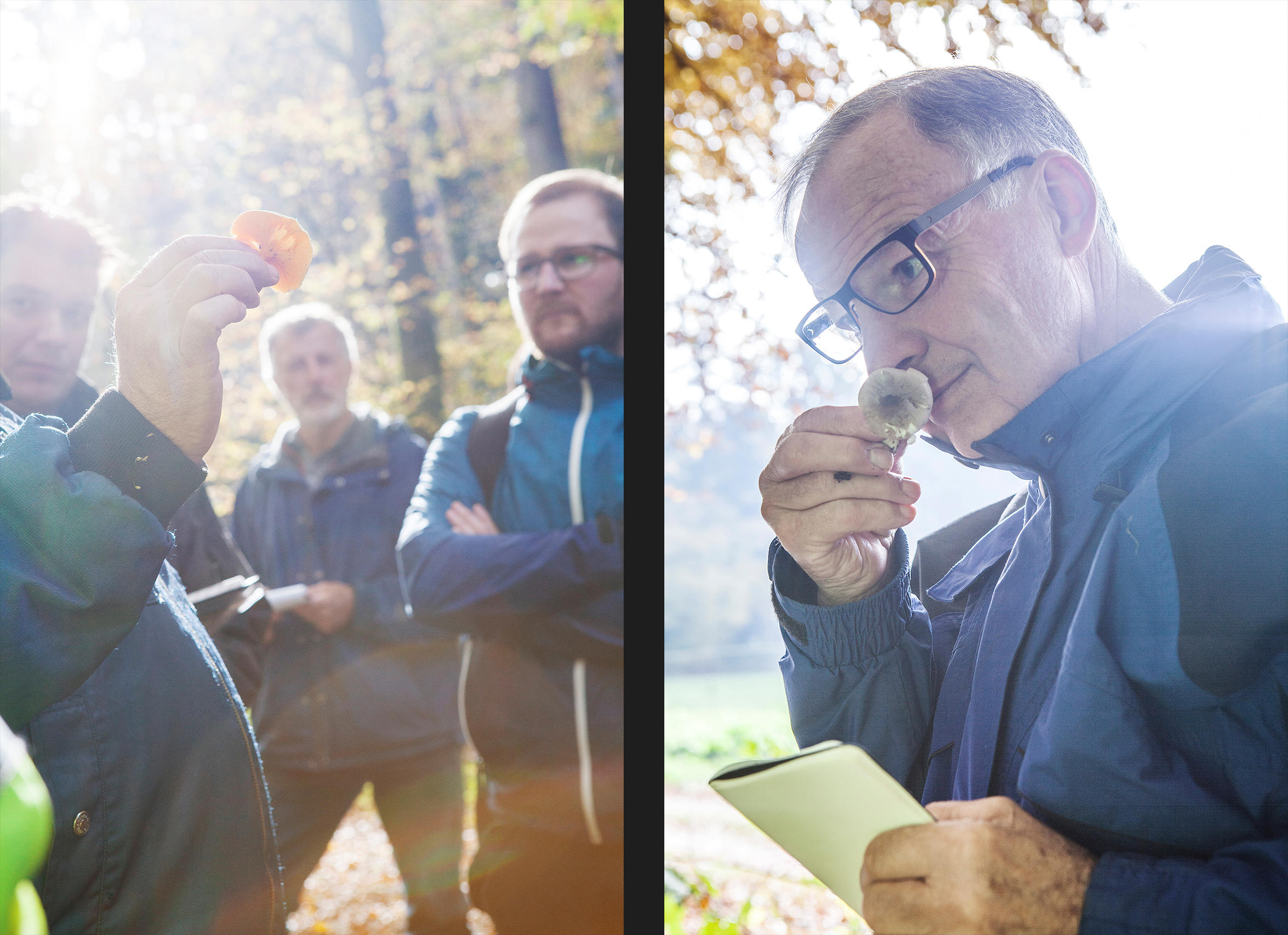 Ein Mann hebt ein Pilz gegen das Licht, ein anderer riecht an einem Pilz