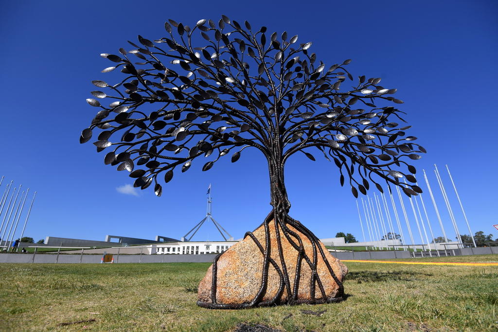 Una scultura (un albero con le radici attorcigliate attorno a una pietra) davanti al parlamento australiano di Canberra