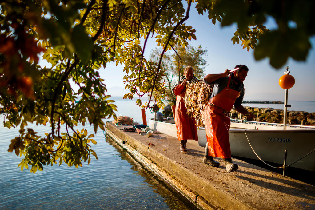 due uomini sul molo, di fianco a una barca, trasportano una rete piena di pesci.