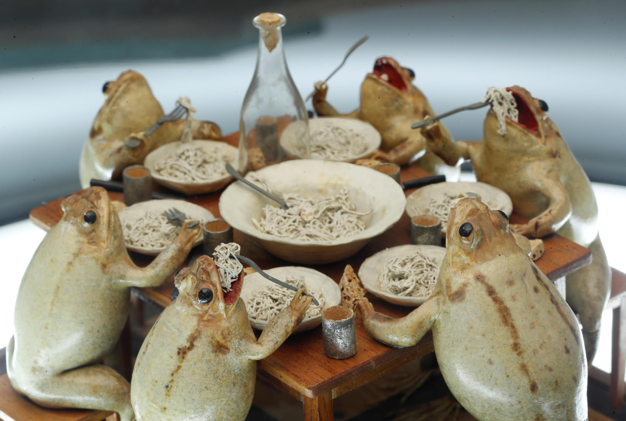 En la foto se ven seis ranas disecadas en una mesa comiendo como seres humanos