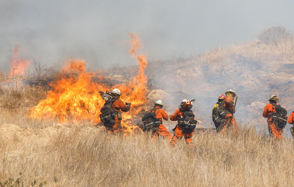 Pompieri alle prese con le fiamme vive a West Hills in California