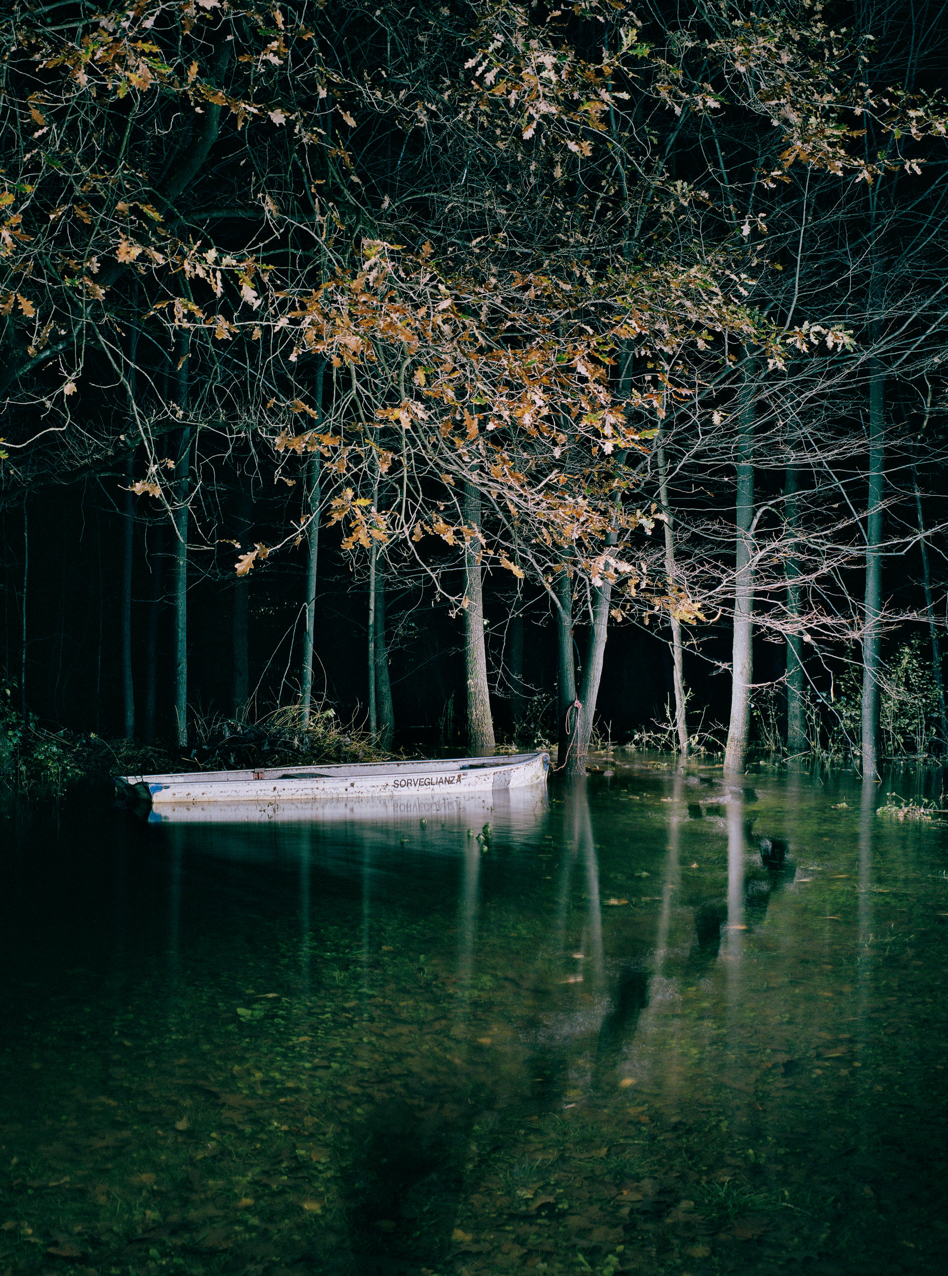 Barca, alberi, acqua di notte