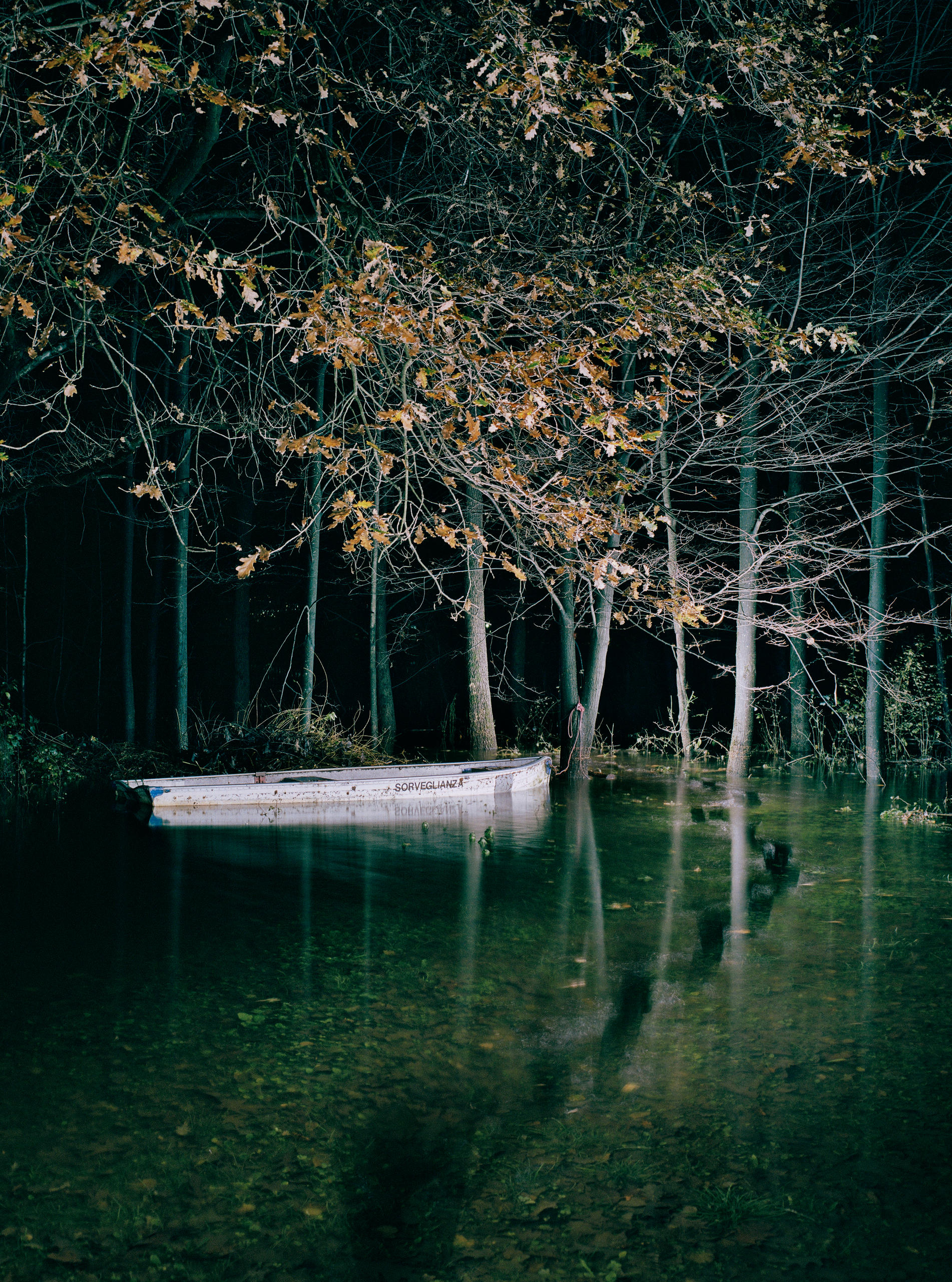 Boat at night under a tree