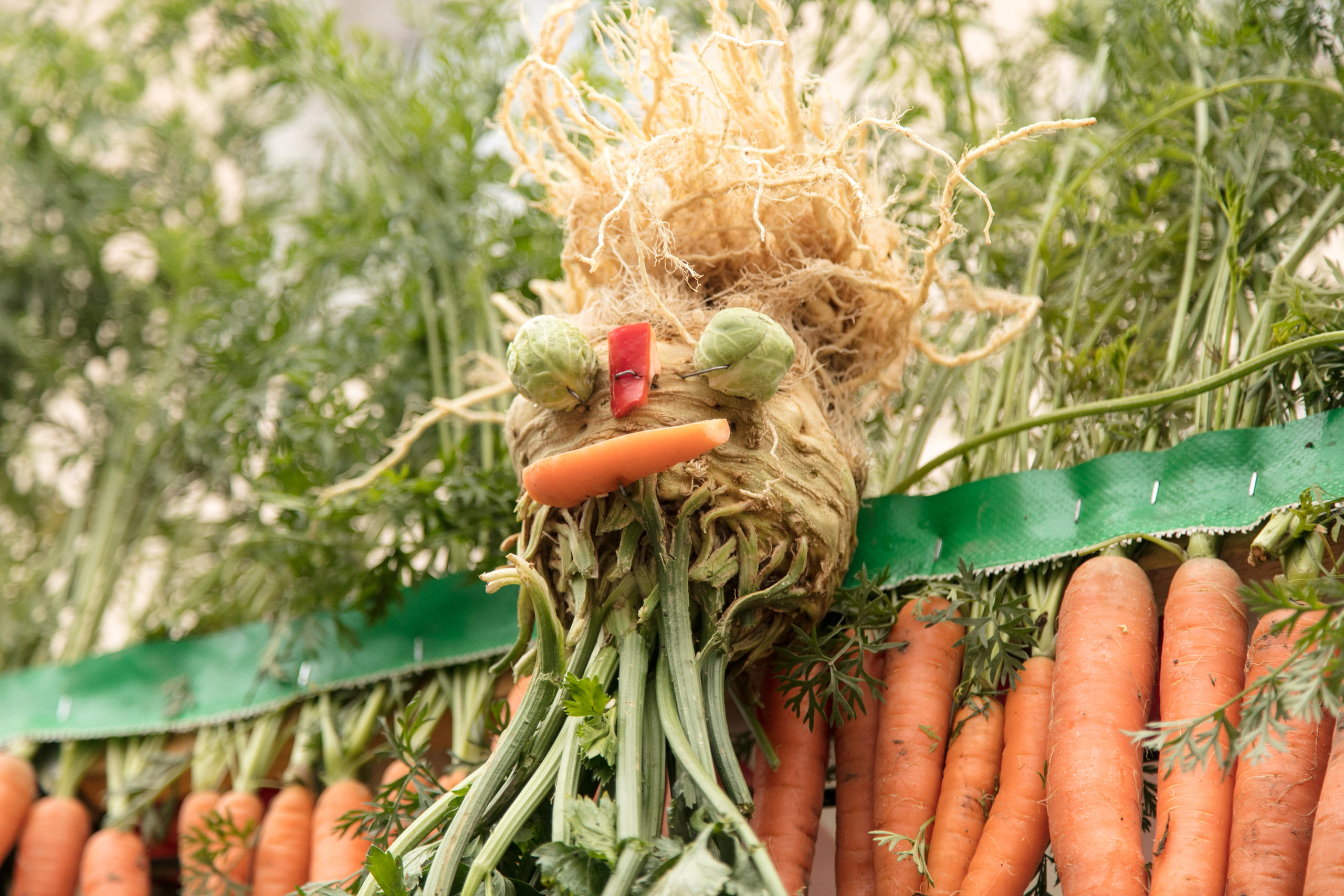 Visage fait des des carottes et du céleri