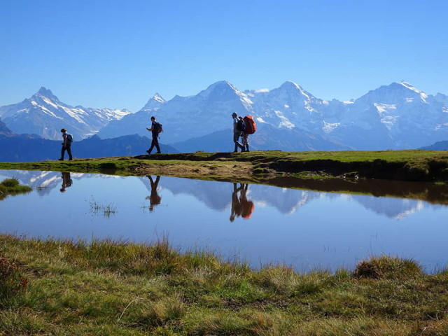 На пути к Бургфельдштанд (2063 м над уровнем моря) открывается великолепный вид на альпийские четырехтысячники.