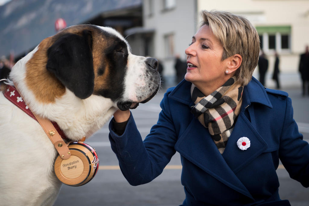 瑞士联邦委员候选人Karin Keller-Sutter爱抚一只圣伯纳犬
