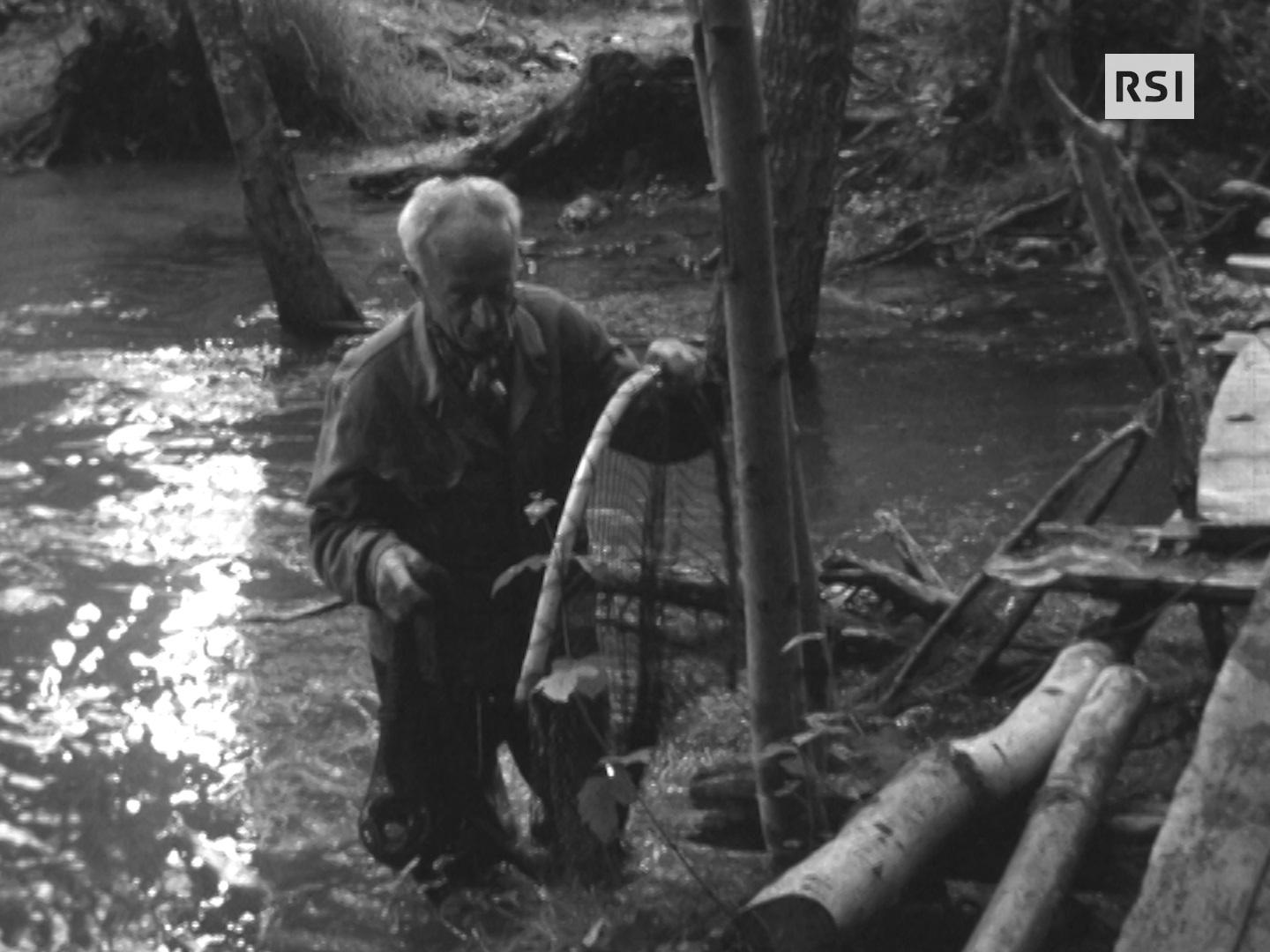 Immagine di un anziano nel fiume, con l acqua fino alle ginocchia, che installa delle reti sulla pescaia/peschiera