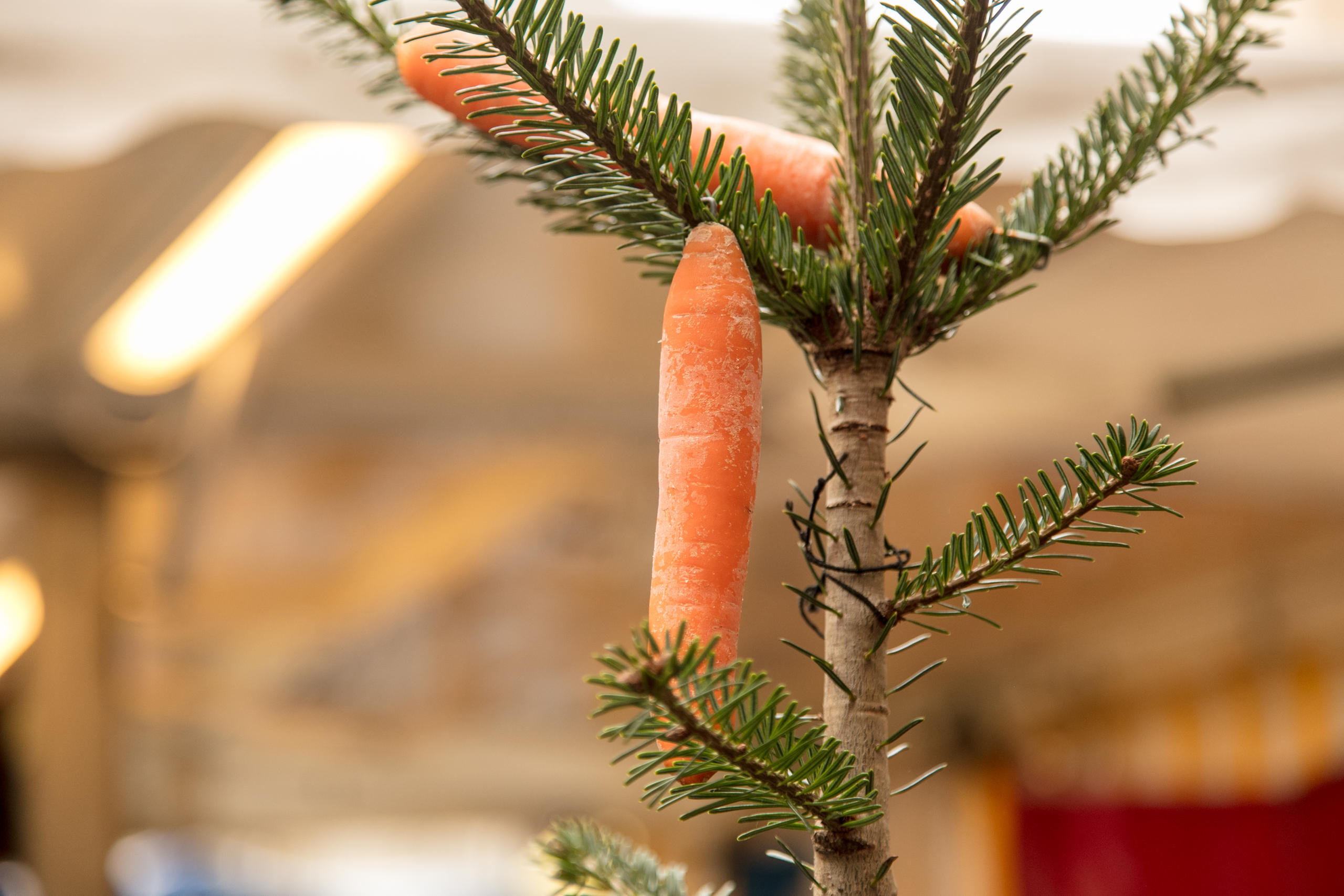 Sapin de Noël décoré avec une carotte
