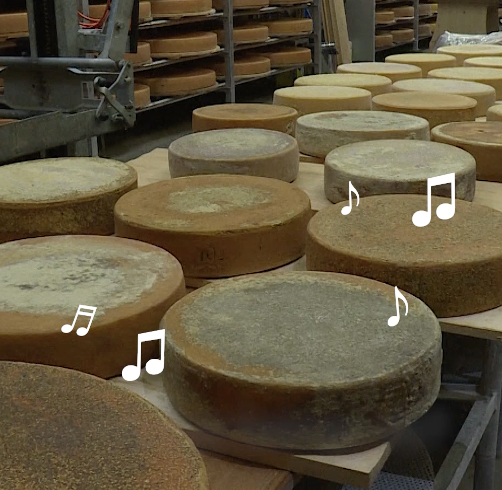Cheese music