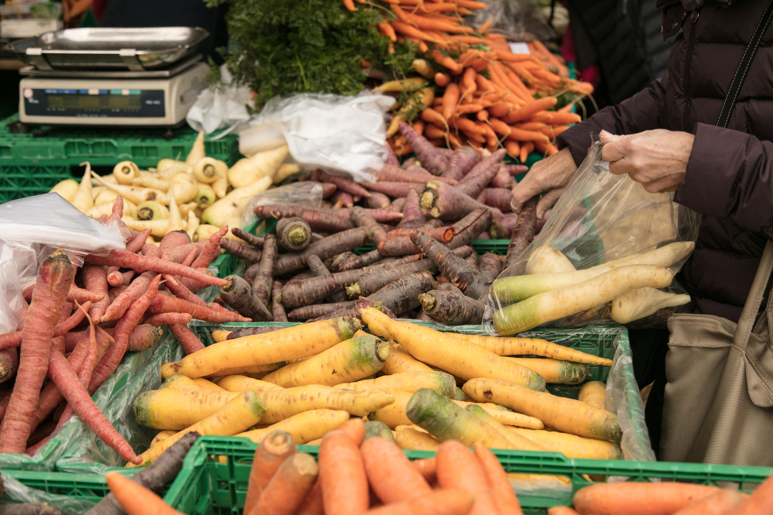 Verschieden Karottensorten am Marktstand