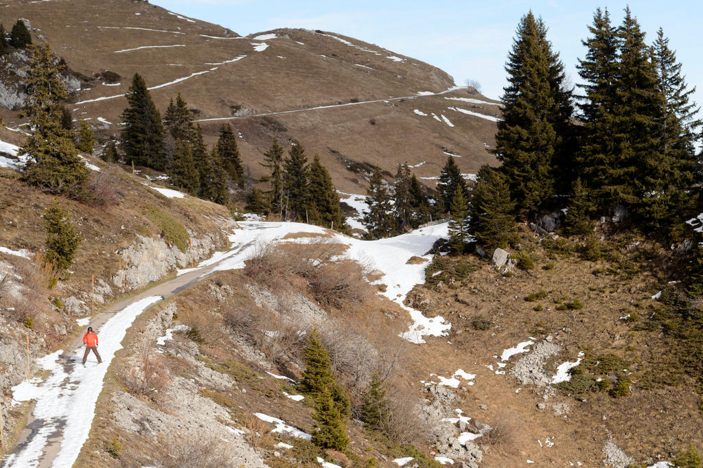 A Skier in action on a ski slope with very little snow surrounded by green field