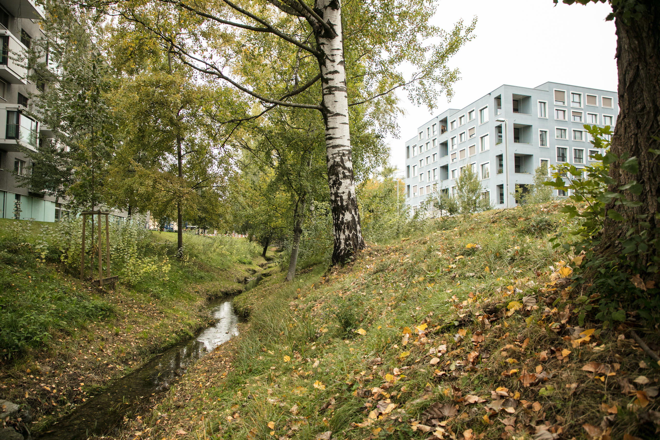 Riachuelo en una urbanización