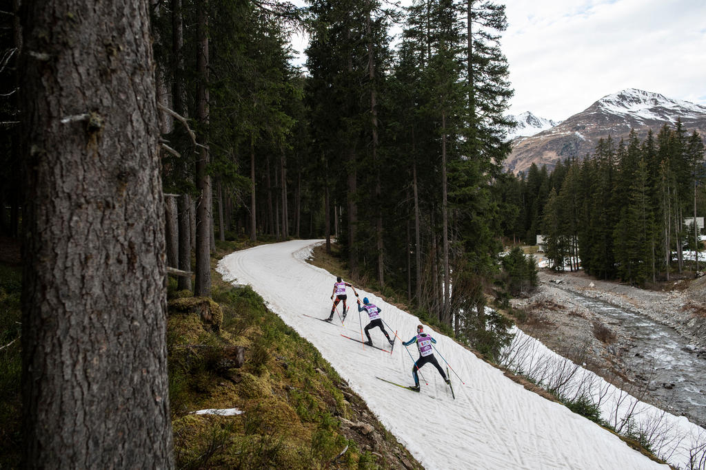 View of the Snowfarming cross country skiing track in Davos,
