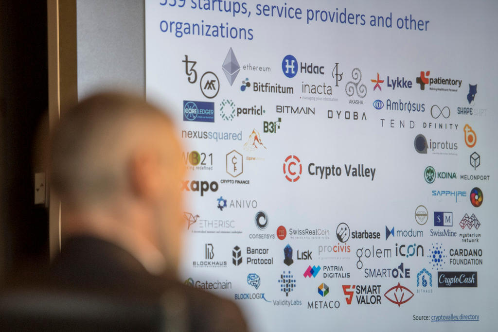 A seated person looks at a chart of Crypto Valley companies