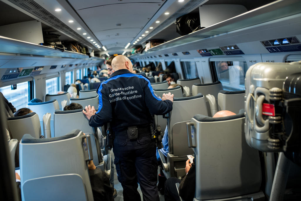 Border Guard on a train