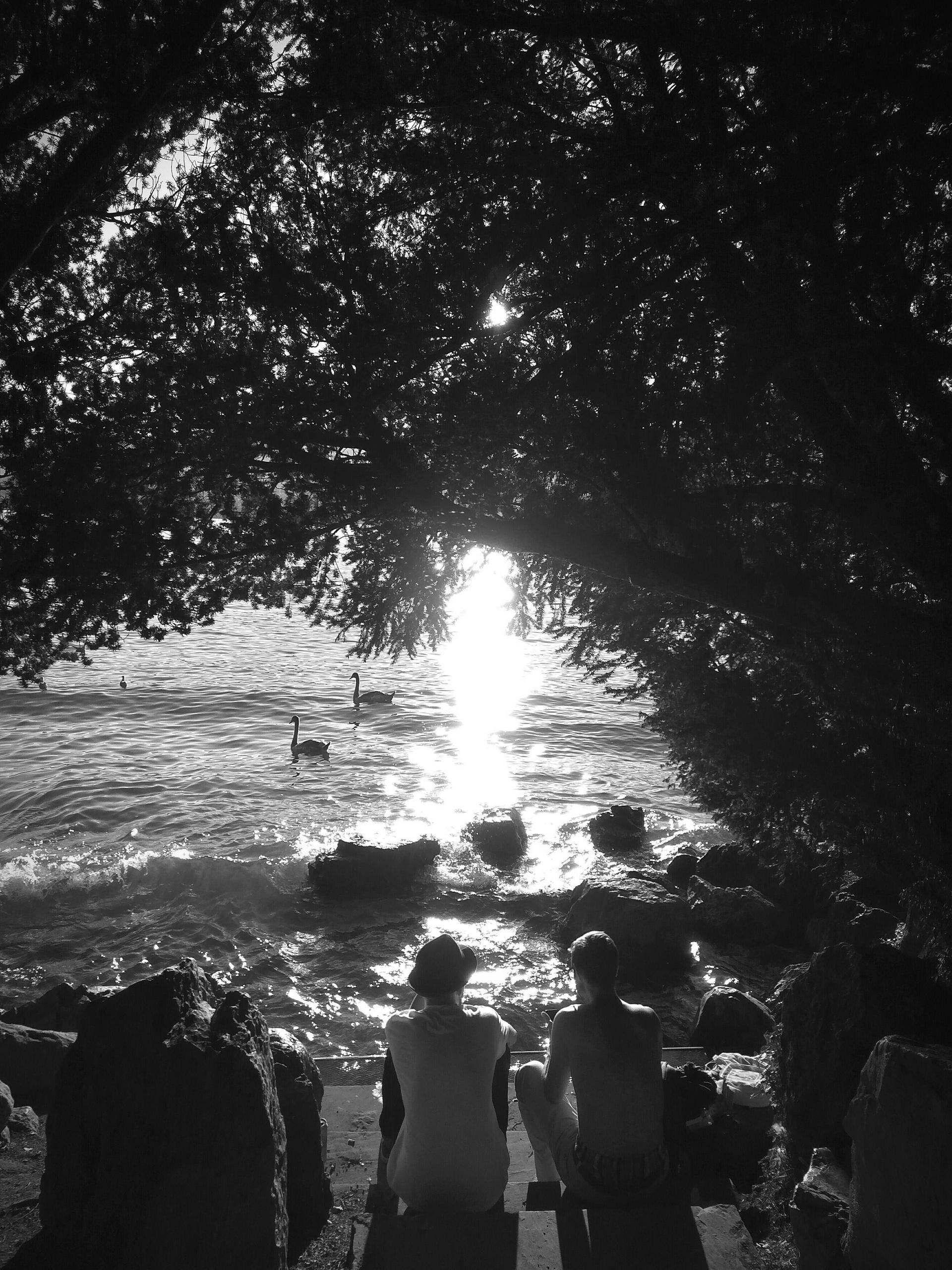 Sitting at Lake Zürich