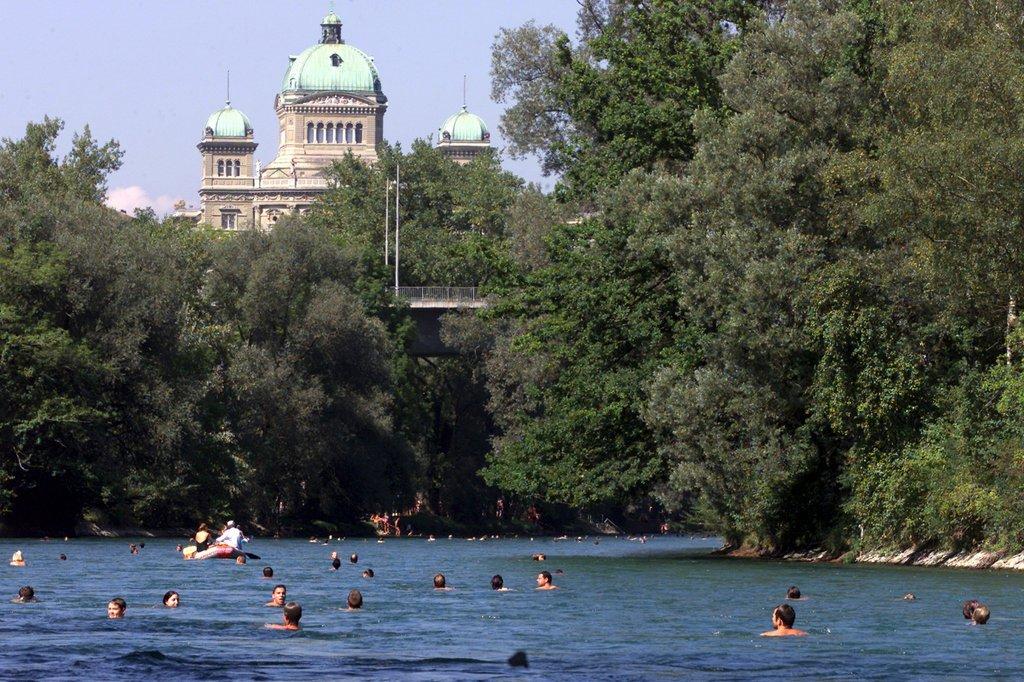 Swimming in the Aare