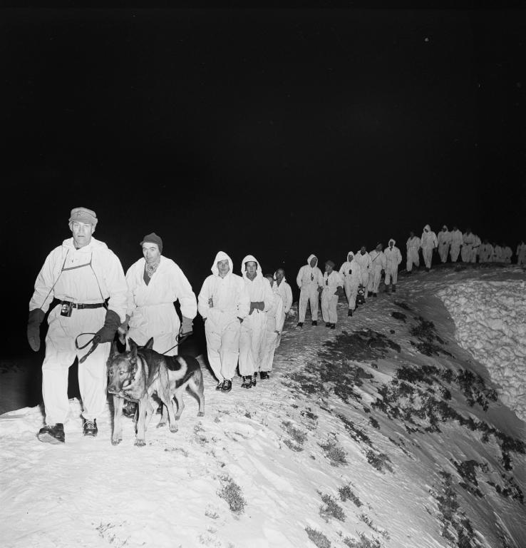 A columm of people in white walking with dogs over the ridge in the dark