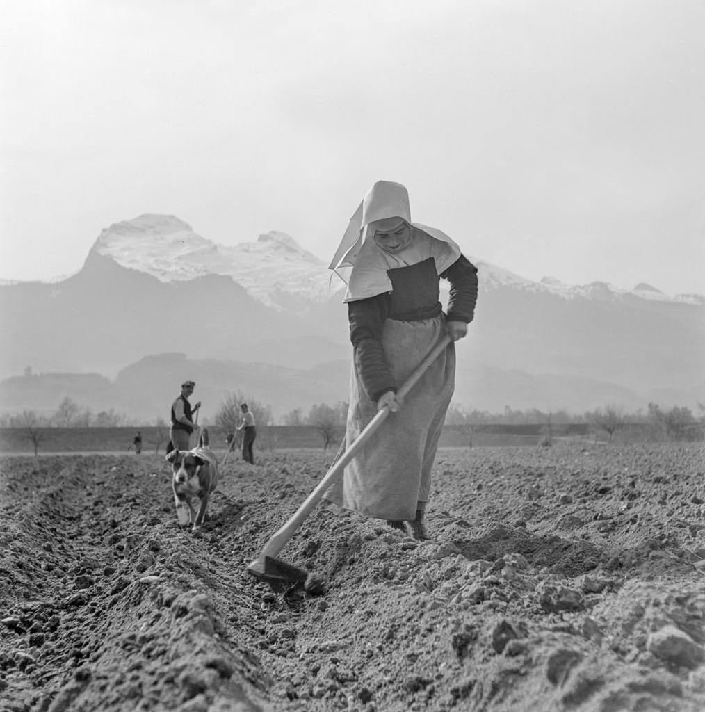 Freira trabalhando no campo (1942)