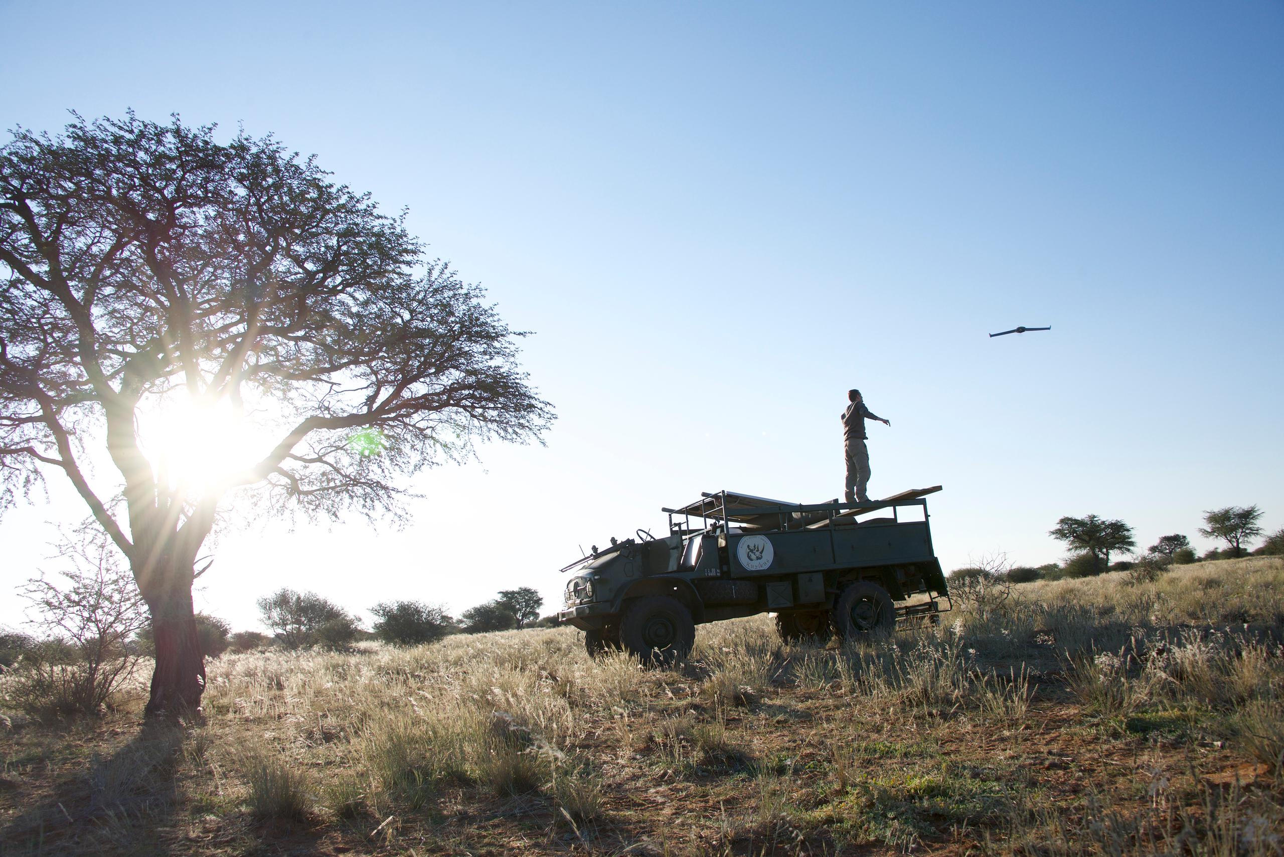 Safari-Jeep mit Mann auf Ladefläche, der eine Drohne steuert