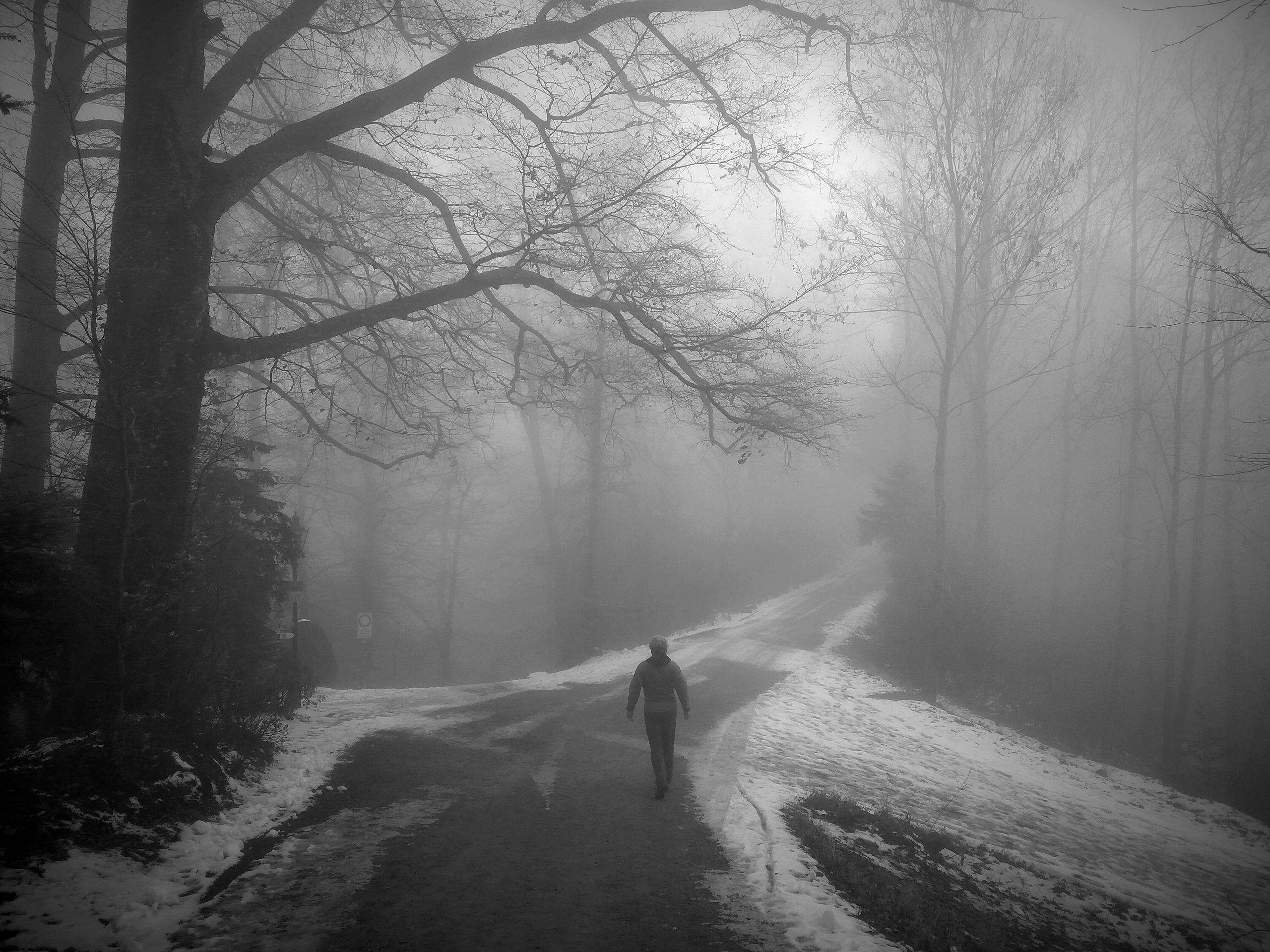 Foggy street