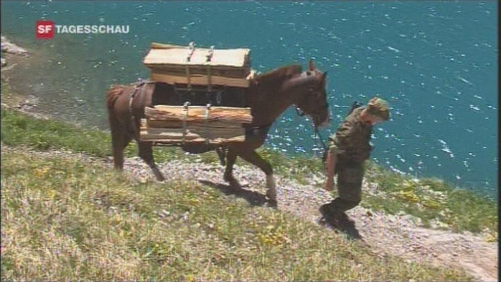 A soldier leads a horse loaded with wood