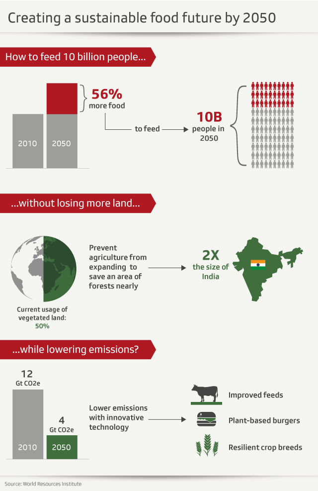 Graphic on creating a sustainable food future by 2050