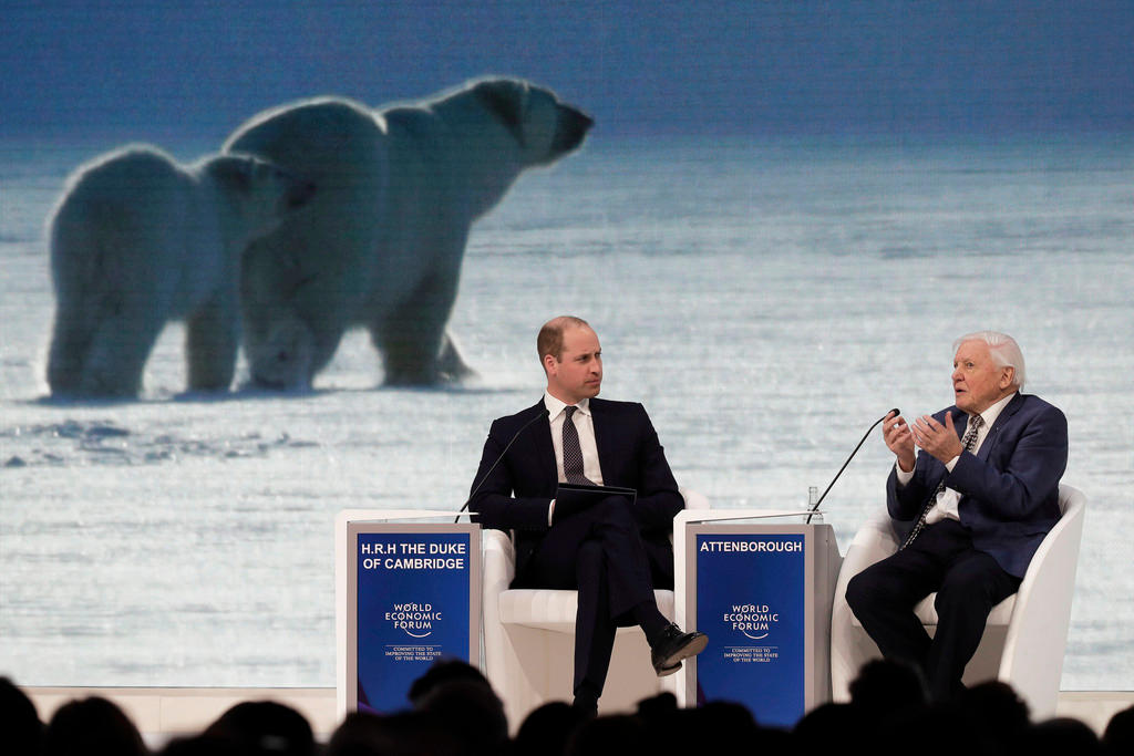 Two men sit talking on a stage with the picture of a polar bear in the background
