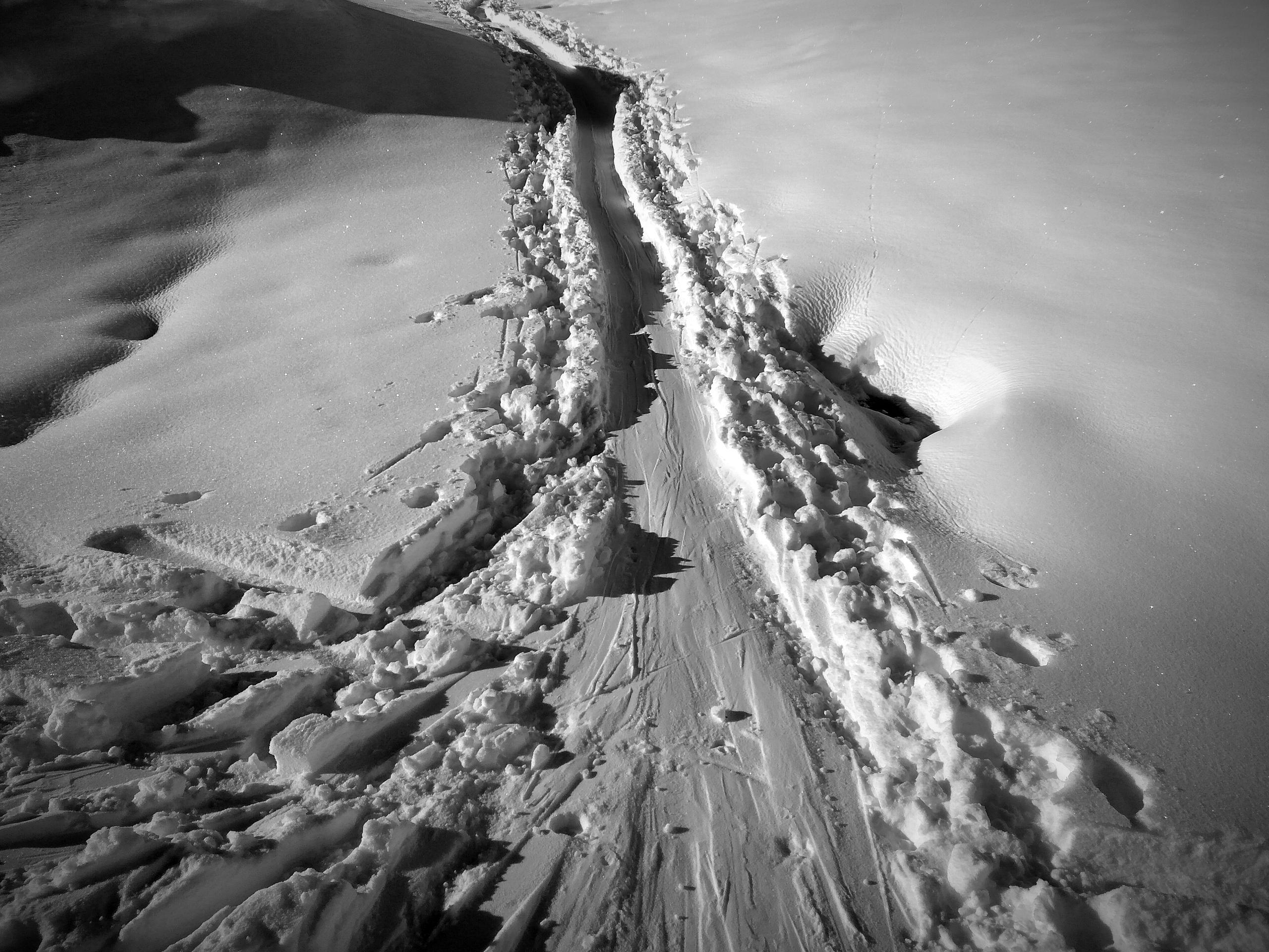 Tracks in snow