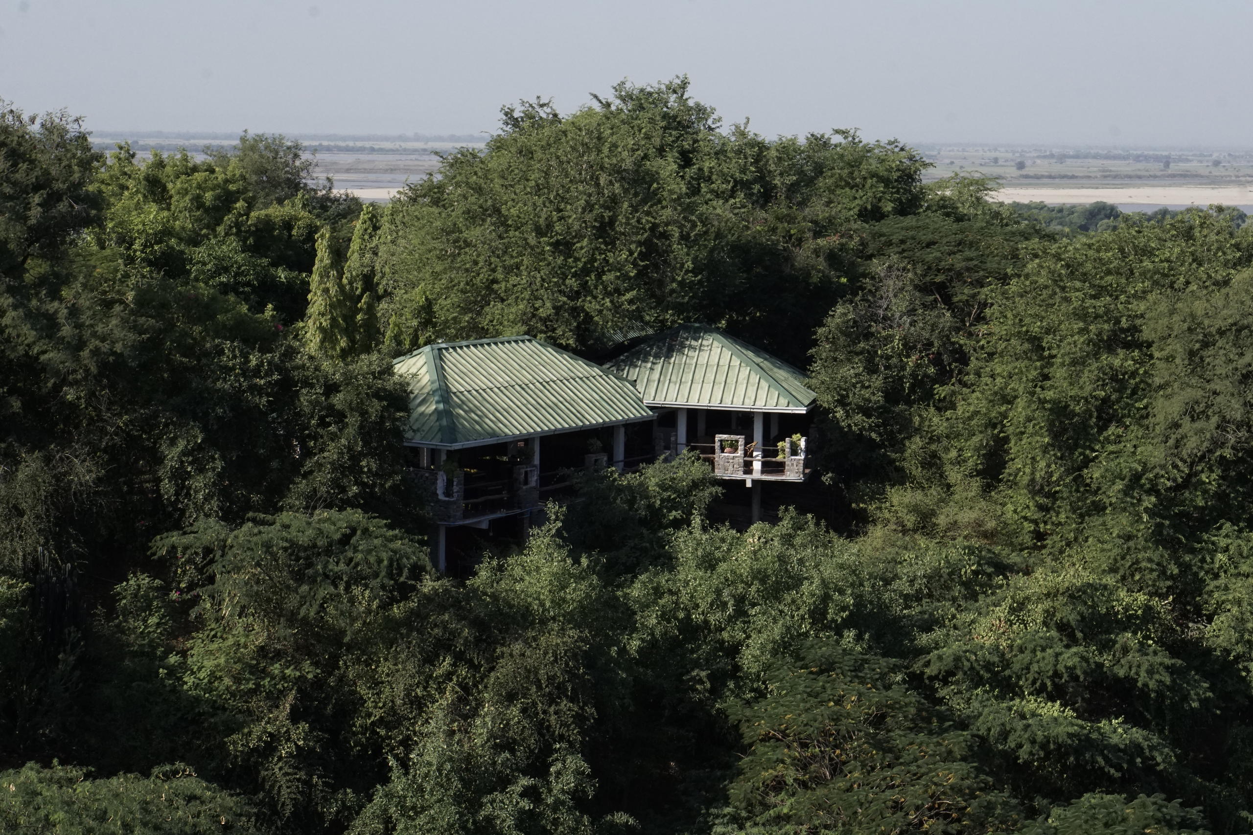 una casa in mezzo agli alberi