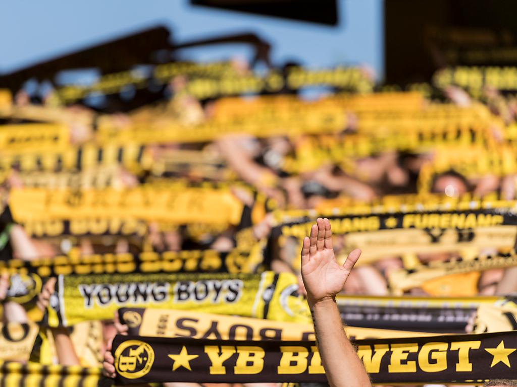 YB Fans halten Schals in die Höhe