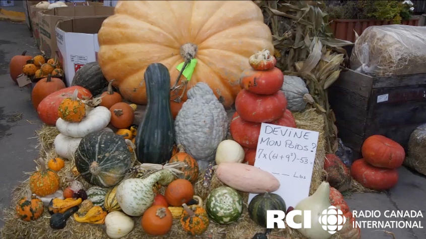 Squash at the vegetable market