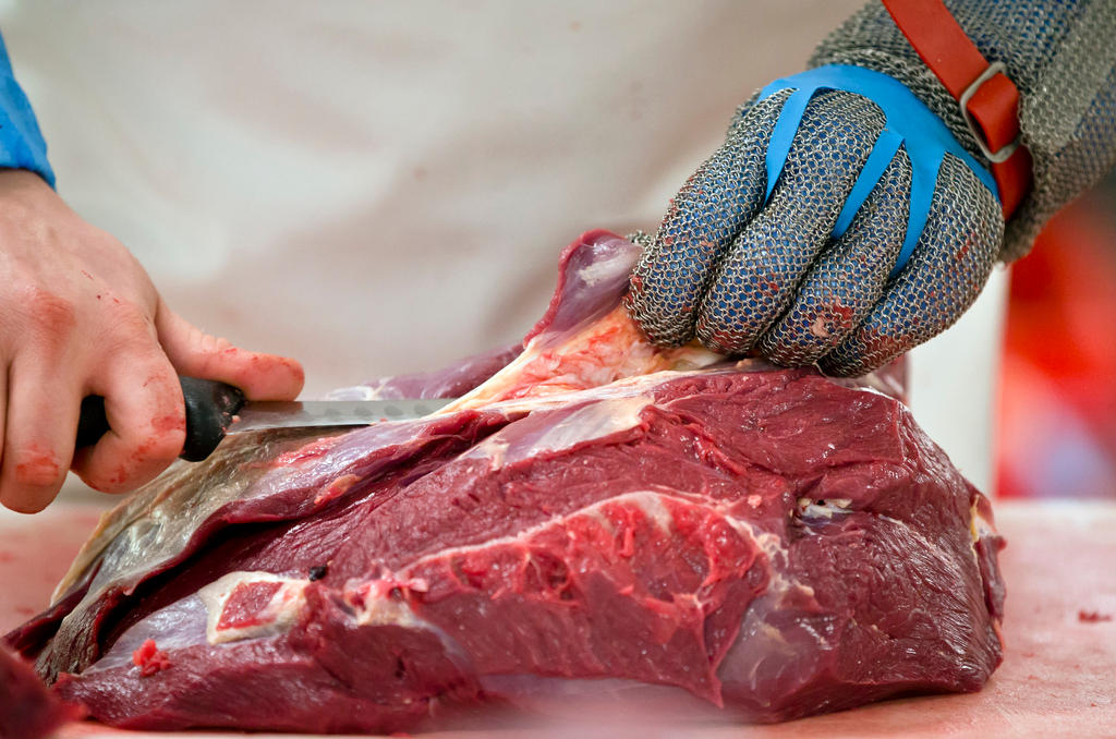 Operatore di un macello lavora con un coltello e un guanto protettivo di metallo a un taglio di carne