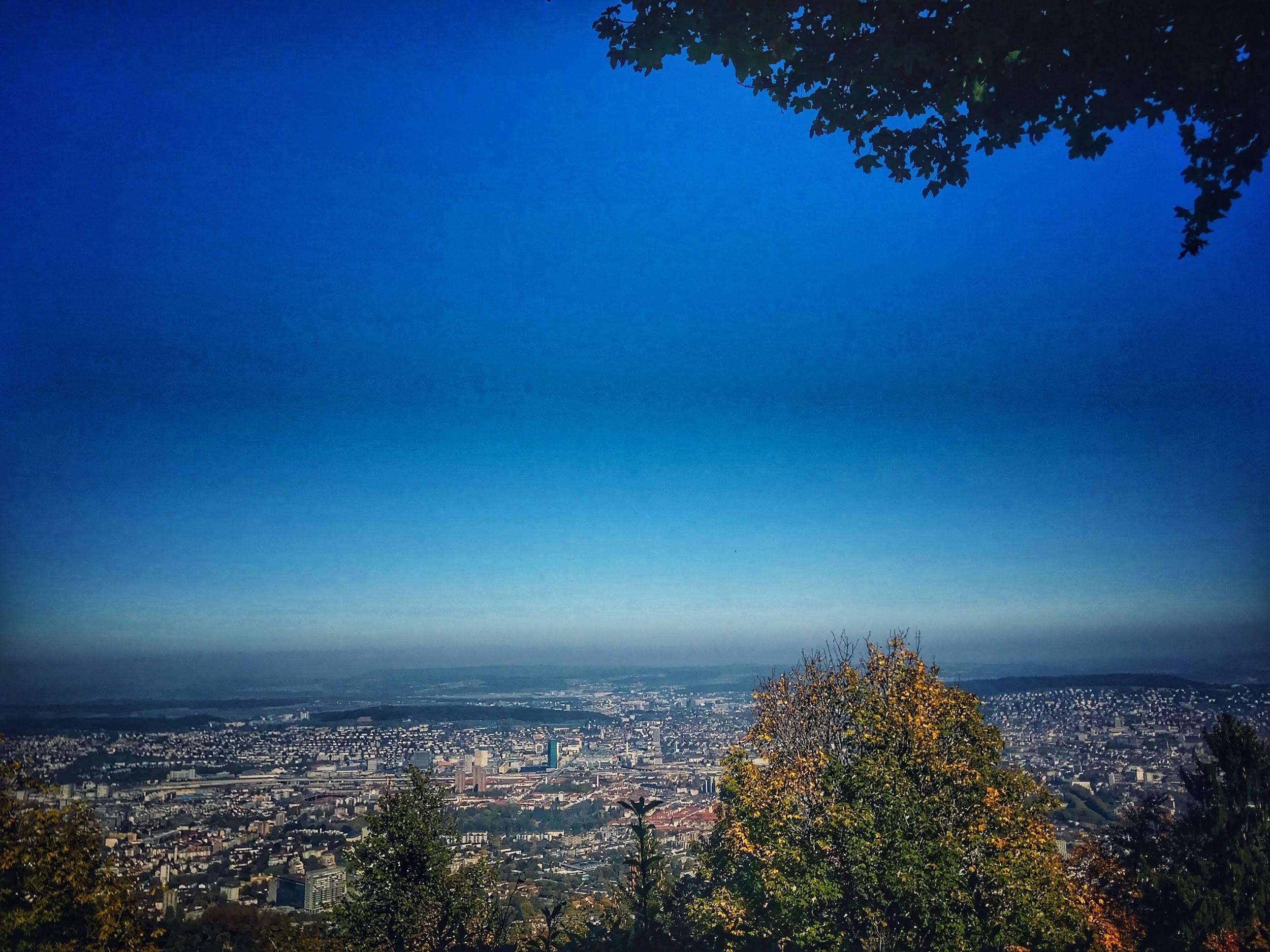 view