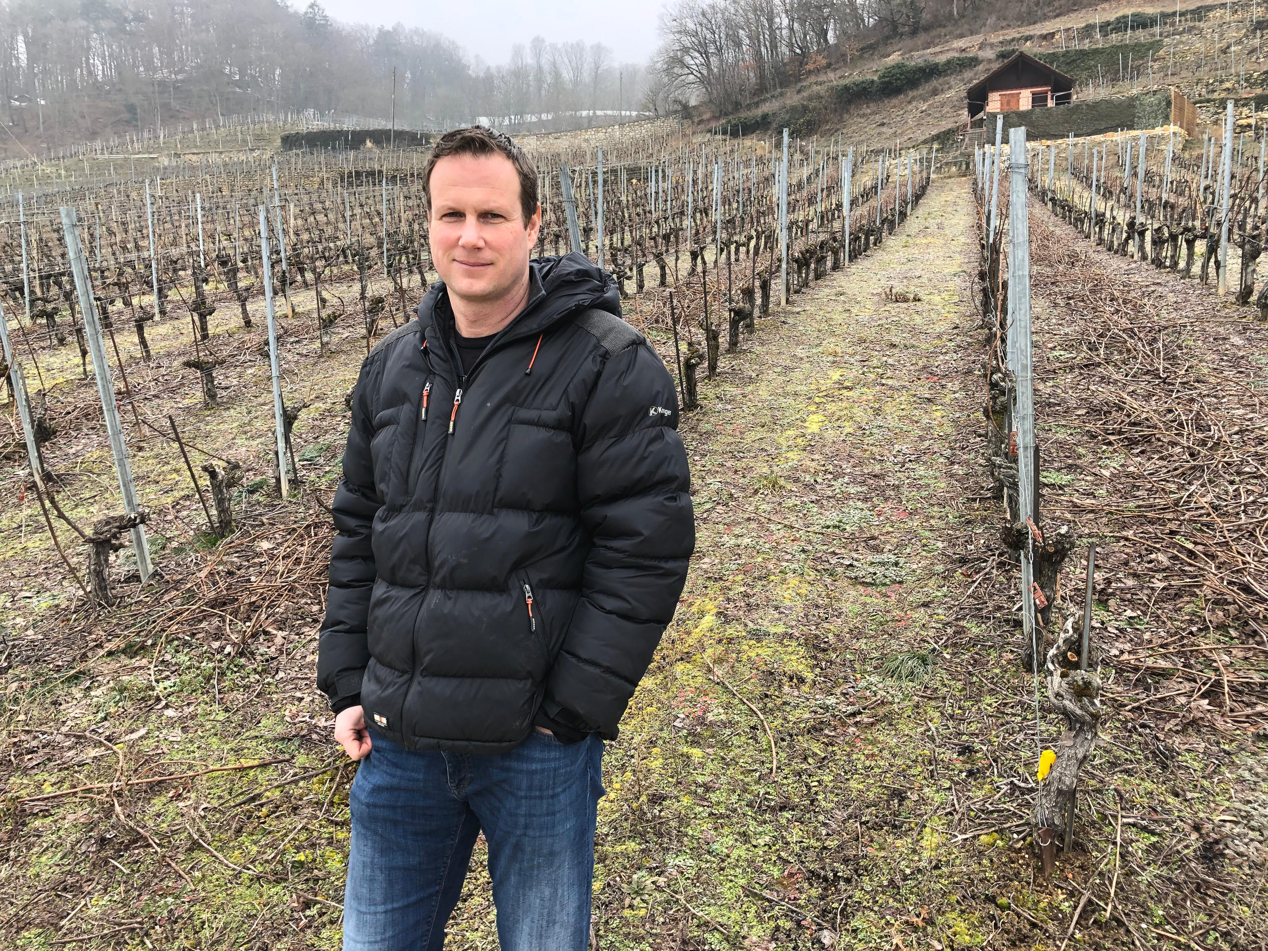 Nicolas Ruedin, vigneron, dans ses vignes