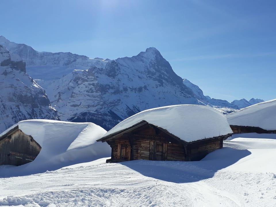 Гриндельвальд (Grindelwald), Бернское нагорье