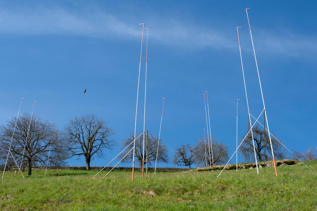 Bauprofile im Grünen