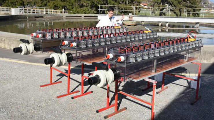 La batteria microbiologica messa a punto a Sion.