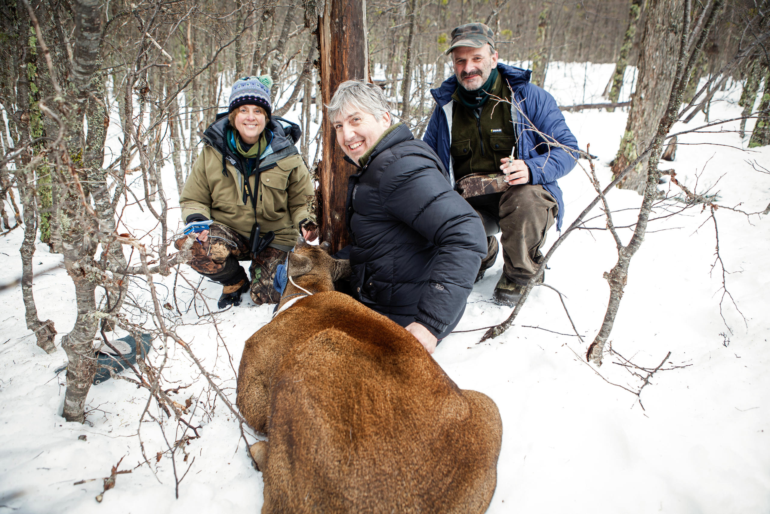 Tres personas junto a un ciervo surandino, un huemul