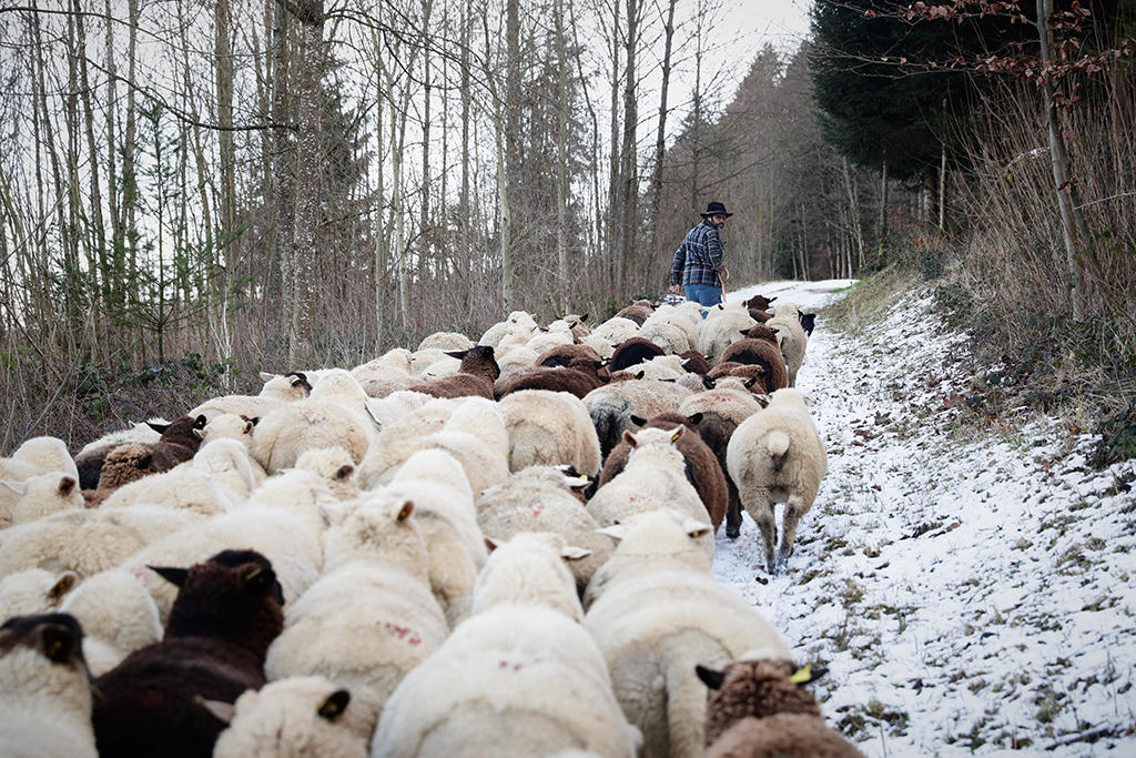 Jose Carvalho and his animals.