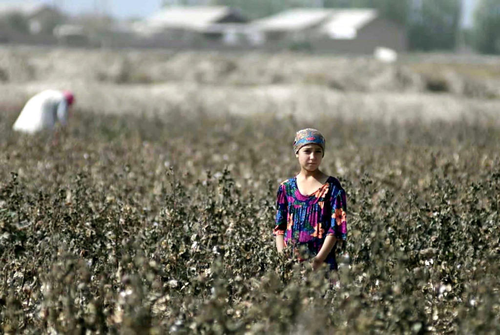 Ragazza in un campo di cotone in Uzbekistan
