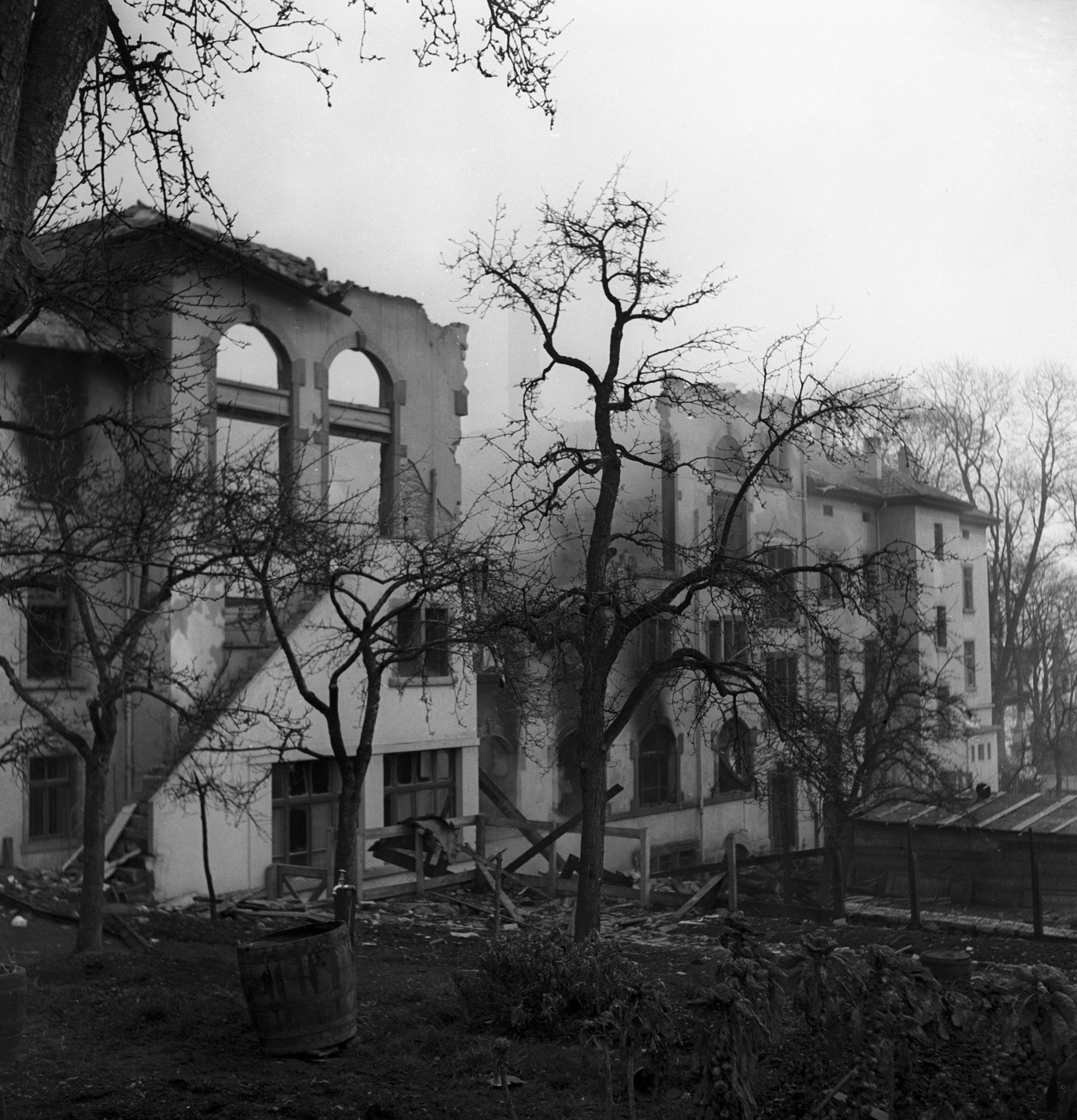 Des arbres brûlés devant une maison en ruine